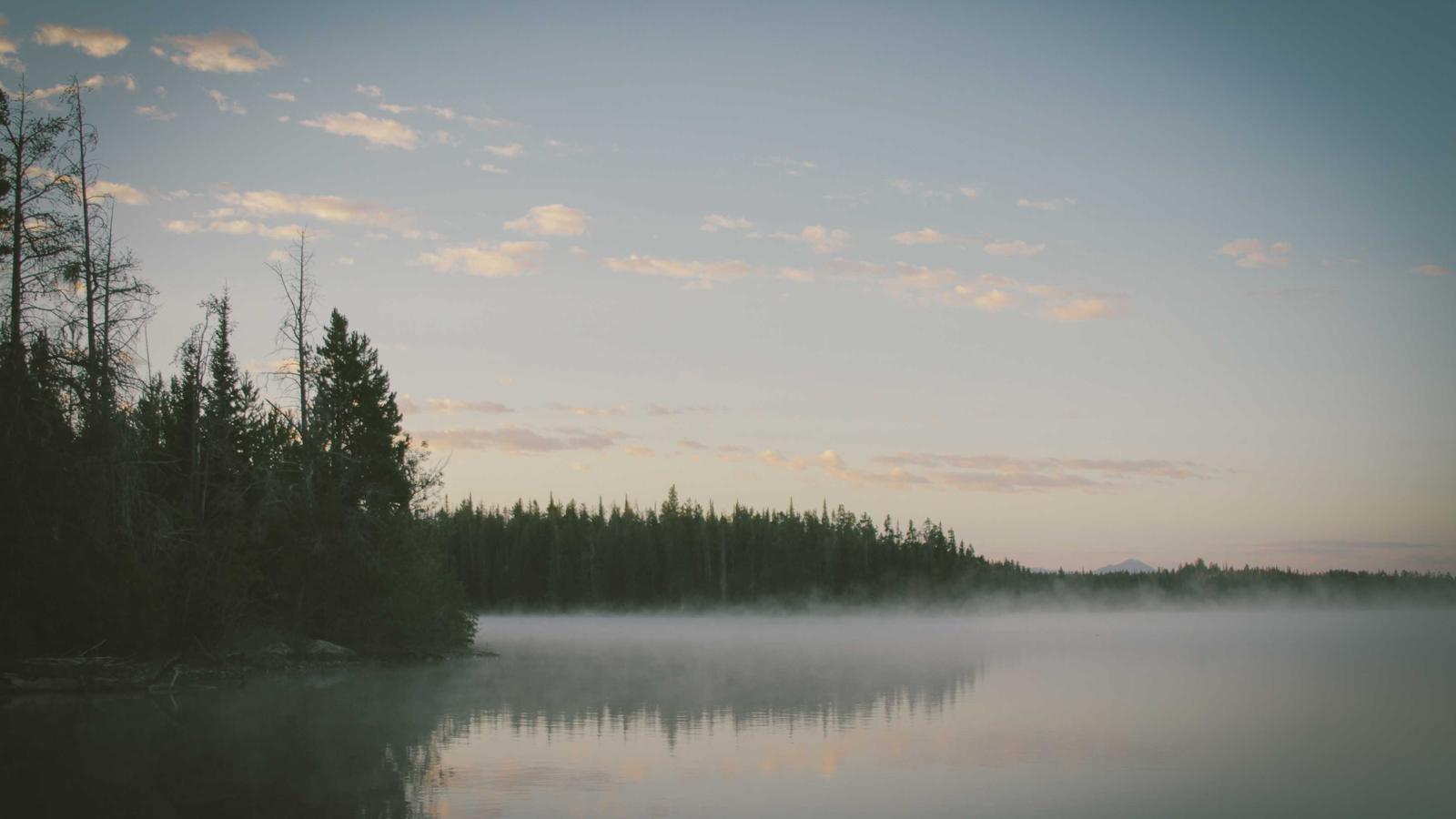 Better work for lower fees: the downstream effect